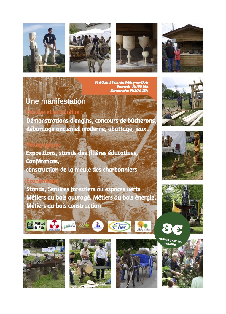 Flyer Fête du Bois à MERY ES BOIS 14 et 15 Mai 2016