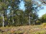 DSC01143.JPG