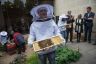 Installation de ruches au ministère de l'agriculture 