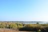 Lac de la Réserve de Saint Quentin en Yvelines