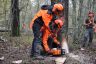 Chantier école 1ère Forêt