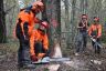 Chantier école 1ère Forêt