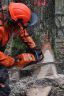 Chantier école 1ère Forêt