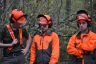 Chantier école 1ère Forêt