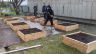 Mise en place de bâches autour des carrés potagers 