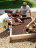 Plantation dans les carrés potagers